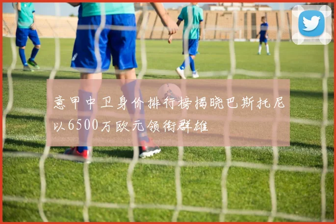 意甲中卫身价排行榜揭晓巴斯托尼以6500万欧元领衔群雄