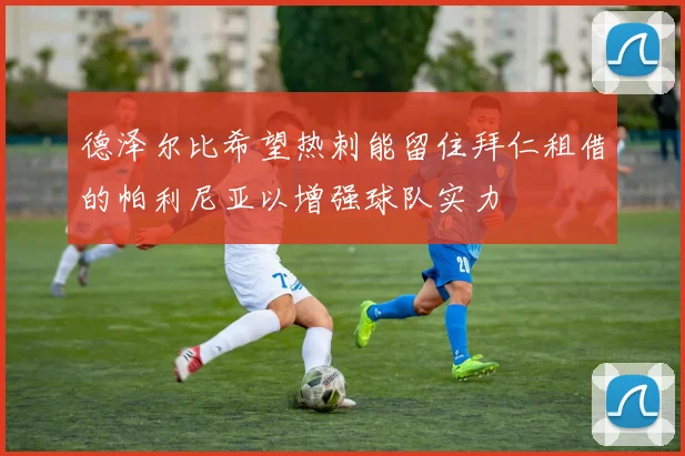 德泽尔比希望热刺能留住拜仁租借的帕利尼亚以增强球队实力